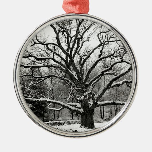 Tree Bedford Oak New York City Metalen Ornament (Voorkant)