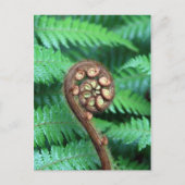 Tree Briefkaart (Voorkant)