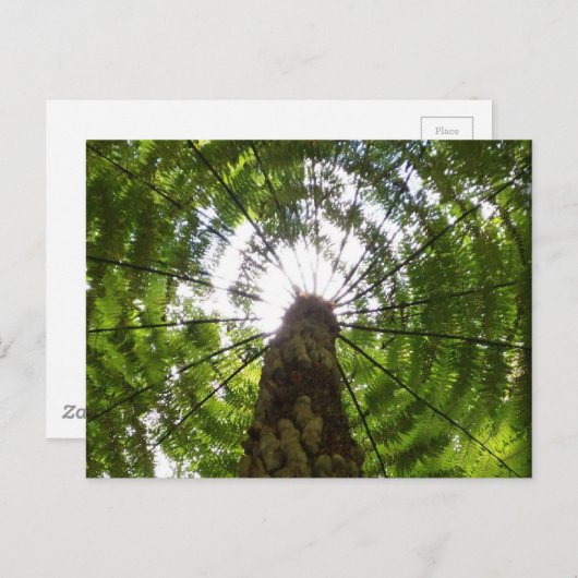 Tree Briefkaart (Voorkant / Achterkant)