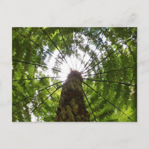 Tree Briefkaart