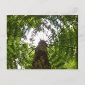 Tree Briefkaart (Voorkant)