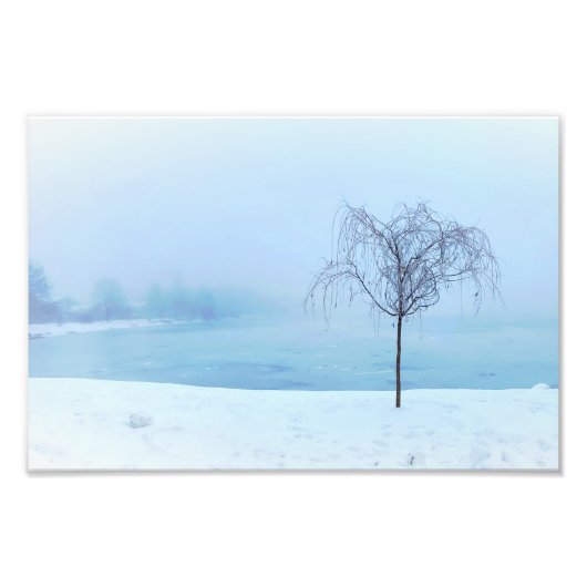 Tree by a Frozen Lake Foto Afdruk (Voorkant)