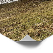 Tree by Pond Poster (Hoek)