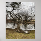 Tree by Pond Poster (Voorkant)