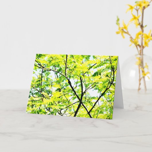 Tree Canopy Pop Art Kaart (Gele Bloem)
