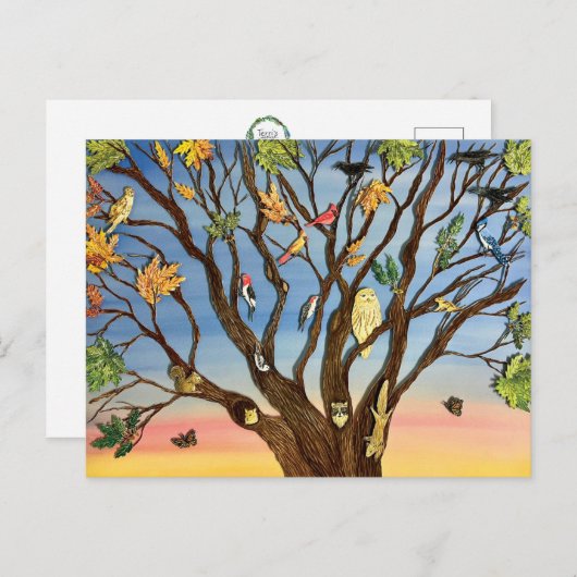 Tree Canopy Postcard Briefkaart (Voorkant / Achterkant)