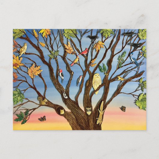 Tree Canopy Postcard Briefkaart (Voorkant)