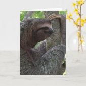 Tree Climbing Sloth Wenskaart Kaart (Gele Bloem)