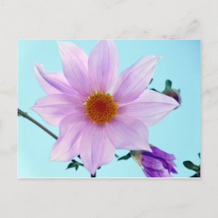 Tree Dahlia Briefkaart