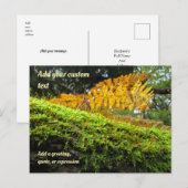 Tree Draped in Autumn Moss - Personalised Briefkaart (Voorkant / Achterkant)
