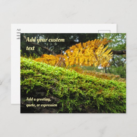 Tree Draped in Autumn Moss - Personalised Briefkaart (Voorkant / Achterkant)