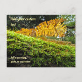 Tree Draped in Autumn Moss - Personalised Briefkaart (Voorkant)