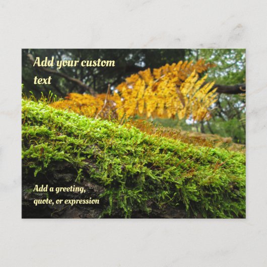 Tree Draped in Autumn Moss - Personalised Briefkaart (Voorkant)