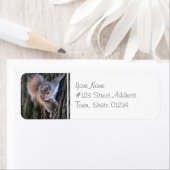 Tree Eekhoorn Mailing Labels (Insitu)