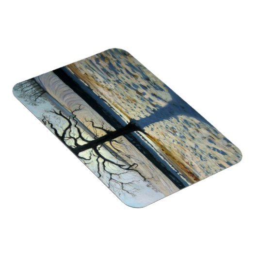 Tree en Shadow Calke Abbey Derbyshire Magneet (Rechterzijde)