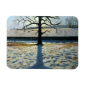 Tree en Shadow Calke Abbey Derbyshire Magneet (Horizontaal)