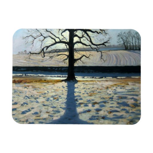 Tree en Shadow Calke Abbey Derbyshire Magneet (Horizontaal)