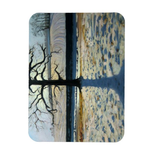 Tree en Shadow Calke Abbey Derbyshire Magneet (Verticaal)