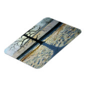 Tree en Shadow Calke Abbey Derbyshire Magneet (Linkerzijde)