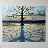 Tree en Shadow Calke Abbey Derbyshire Poster (Voorkant)