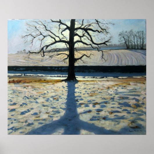 Tree en Shadow Calke Abbey Derbyshire Poster (Voorkant)