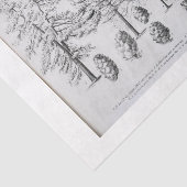  Tree Ephemera Decoupage Pine cone Tissuepapier (Detail)