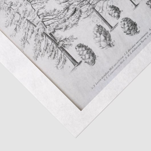  Tree Ephemera Decoupage Pine cone Tissuepapier (Detail)