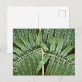 Tree Fern Frond Briefkaart (Voorkant / Achterkant)