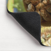 Tree Fern Frond Muismat (Hoek)