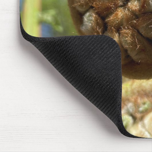 Tree Fern Frond Muismat (Hoek)