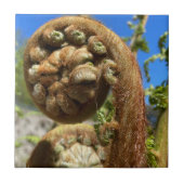 Tree Fern Frond Tegeltje (Voorkant)