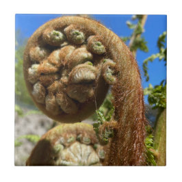 Tree Fern Frond Tegeltje