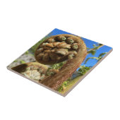 Tree Fern Frond Tegeltje (Zijkant)