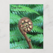 Tree Fern Nieuw-Zeeland Briefkaart (Voorkant)