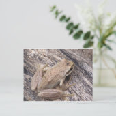 Tree Frog Briefkaart (Staand voorkant)