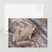 Tree Frog Briefkaart (Voorkant / Achterkant)