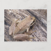 Tree Frog Briefkaart (Voorkant)