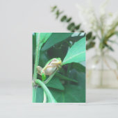 Tree Frog Briefkaart (Staand voorkant)
