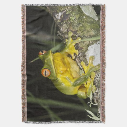 Tree Frog Deken (Voorkant Verticaal)