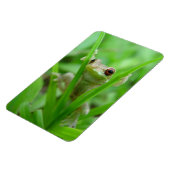 Tree Frog holding op Flexi Magnet Magneet (Linkerzijde)