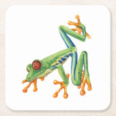 Tree Frog Kartonnen Onderzetters (Voorkant)