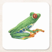 Tree Frog Kartonnen Onderzetters (Voorkant)