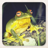 Tree Frog Kartonnen Onderzetters (Voorkant)