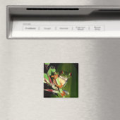 Tree Frog magneet (Insitu (Vaatwasser))