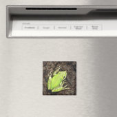Tree Frog Magnet - "Envy Green" (Insitu (Vaatwasser))