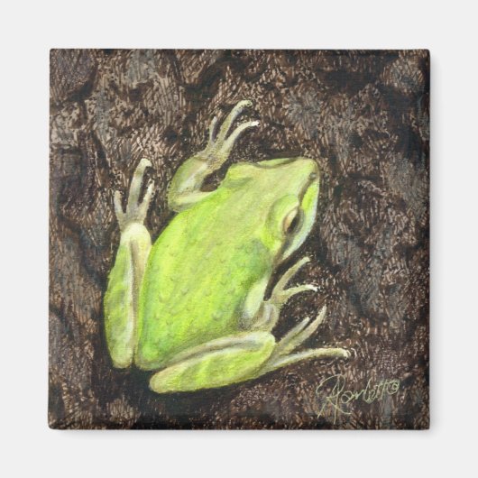 Tree Frog Magnet - "Envy Green" (Voorkant)