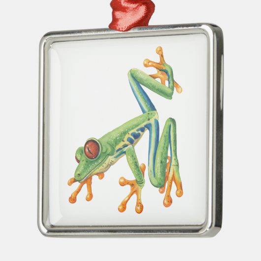 Tree Frog Metalen Ornament (Links)