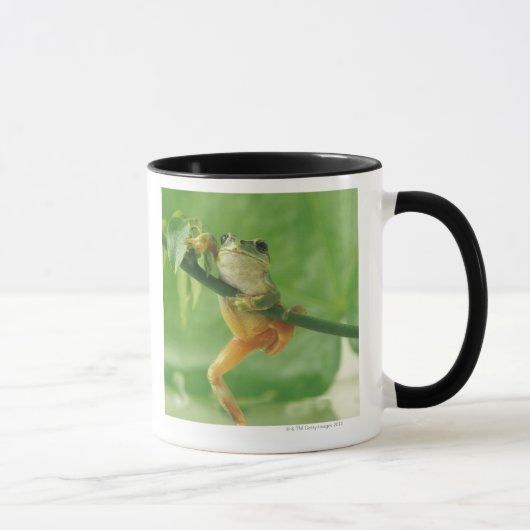 Tree Frog Mok (Rechts)