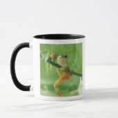 Tree Frog Mok (Links)