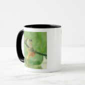 Tree Frog Mok (Voorkant links)
